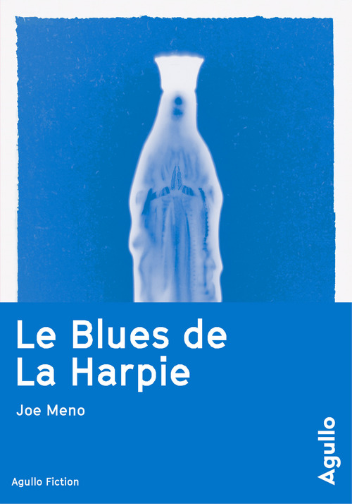 Couverture ebook de Le Blues de La Harpie, de Joe Meno