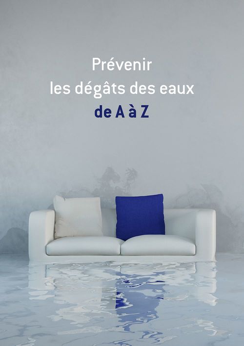 Couverture ebook de Prévenir les dégâts des eaux de A à Z, de All The Content, Noblishing