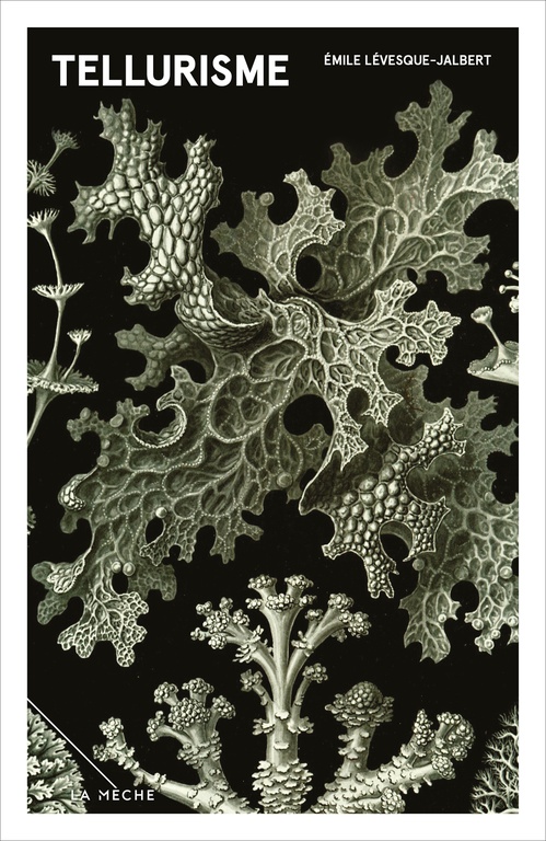 ebook cover of Tellurisme, by Émile Lévesque-Jalbert
