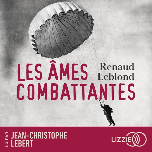 audiobook cover of Les âmes combattantes, by Renaud Leblond