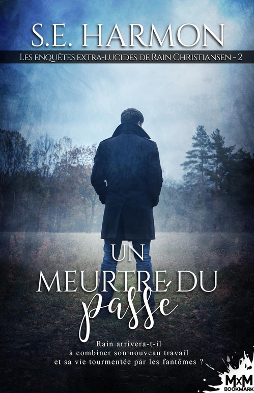 ebook cover of Un meurtre du passé, by S. E. Harmon