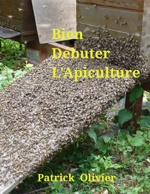 ebook cover of Bien débuter l'apiculture, by Patrick Olivier