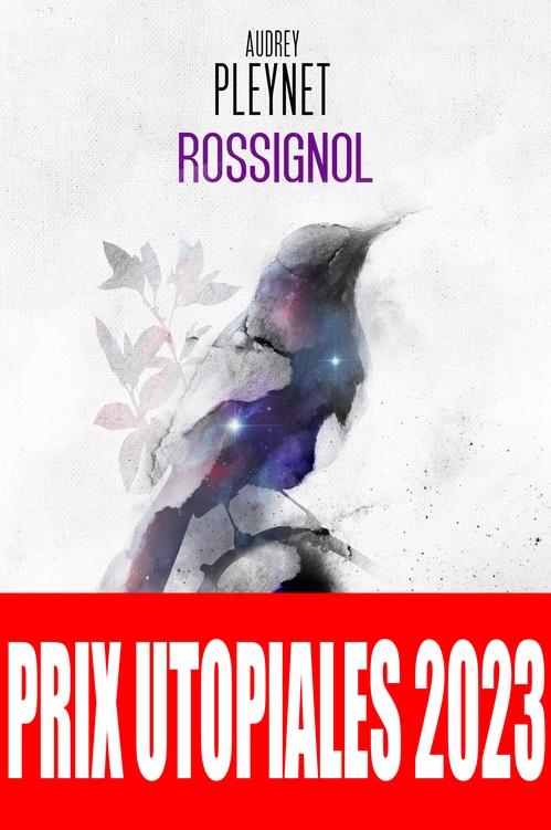 Couverture ebook de Rossignol, de Audrey Pleynet