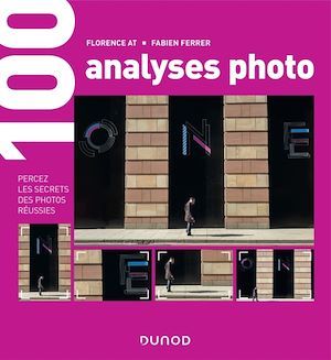 ebook cover of 100 analyses photo, by Florence At, Fabien Ferrer