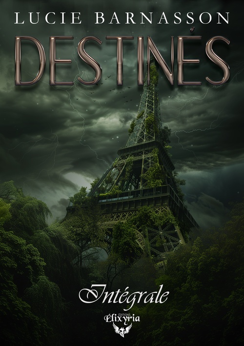ebook cover of Destinés - Intégrale, by Lucie Barnasson