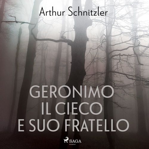 Couverture audiobook de Geronimo il cieco e suo fratello, de Arthur Schnitzler