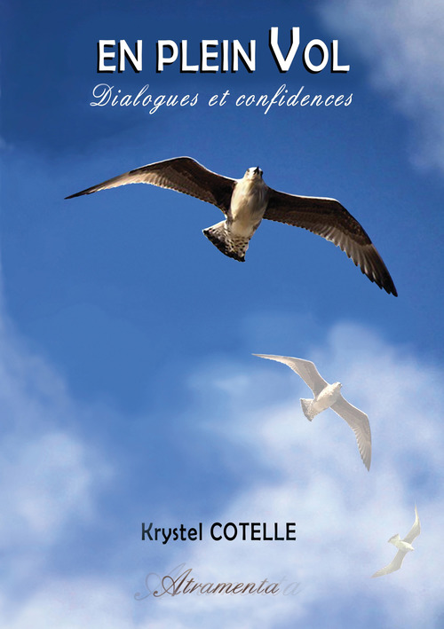 ebook cover of En plein vol, by Krystel Cotelle