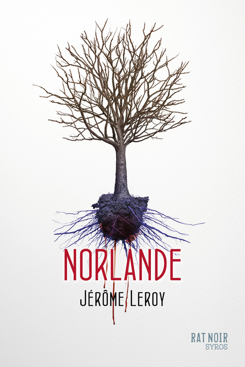 Couverture ebook de Norlande, de Jérôme Leroy