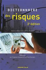 ebook cover of Dictionnaire des risques, by Yves Dupont
