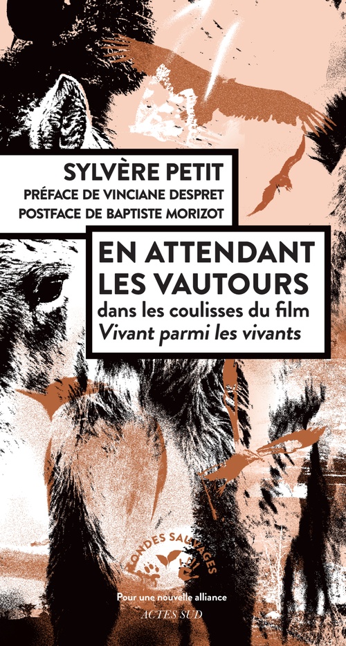 Couverture ebook de En attendant les vautours, de Sylvère Petit