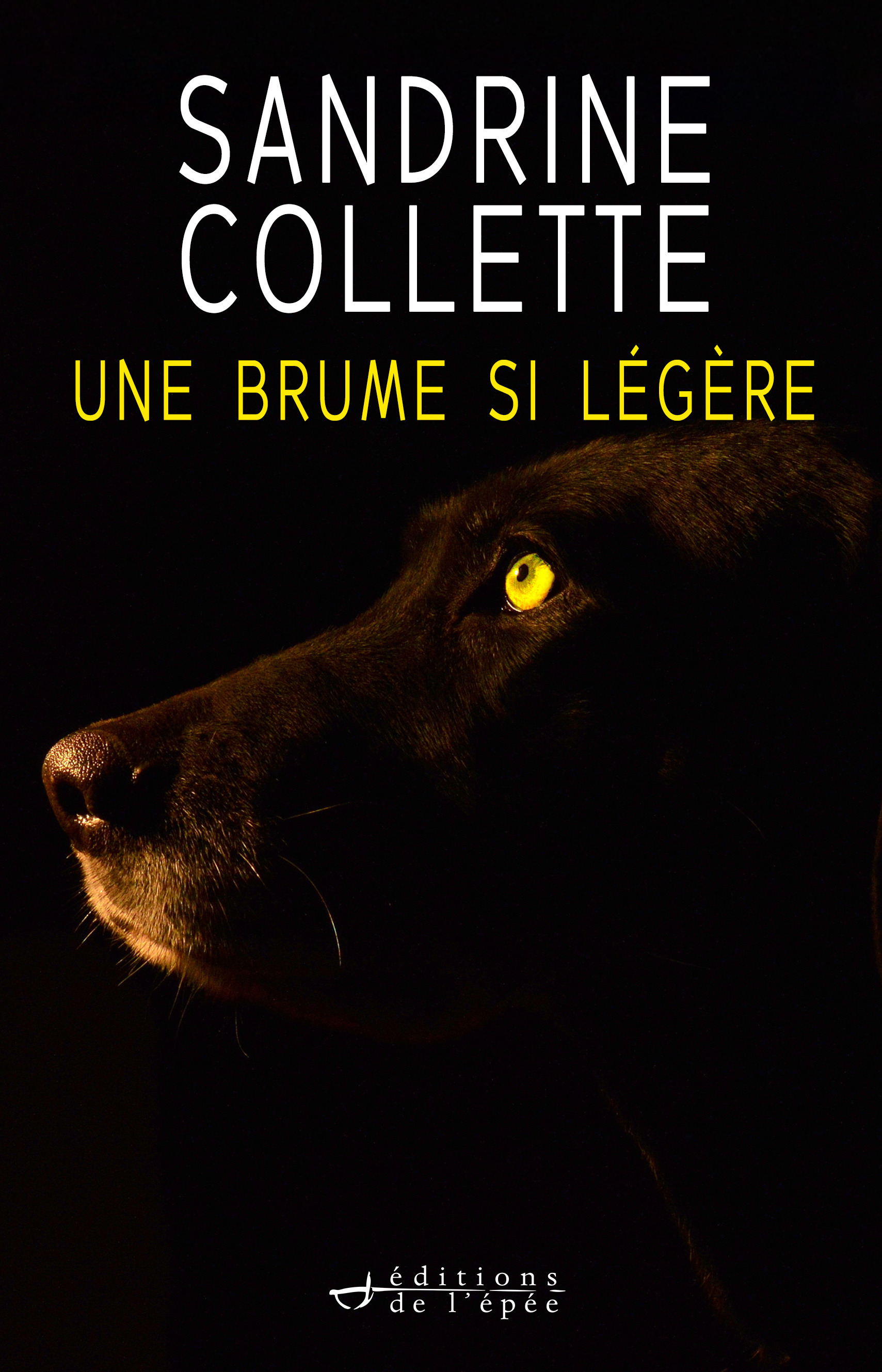 Couverture ebook de Une brume si légère, de Sandrine Collette