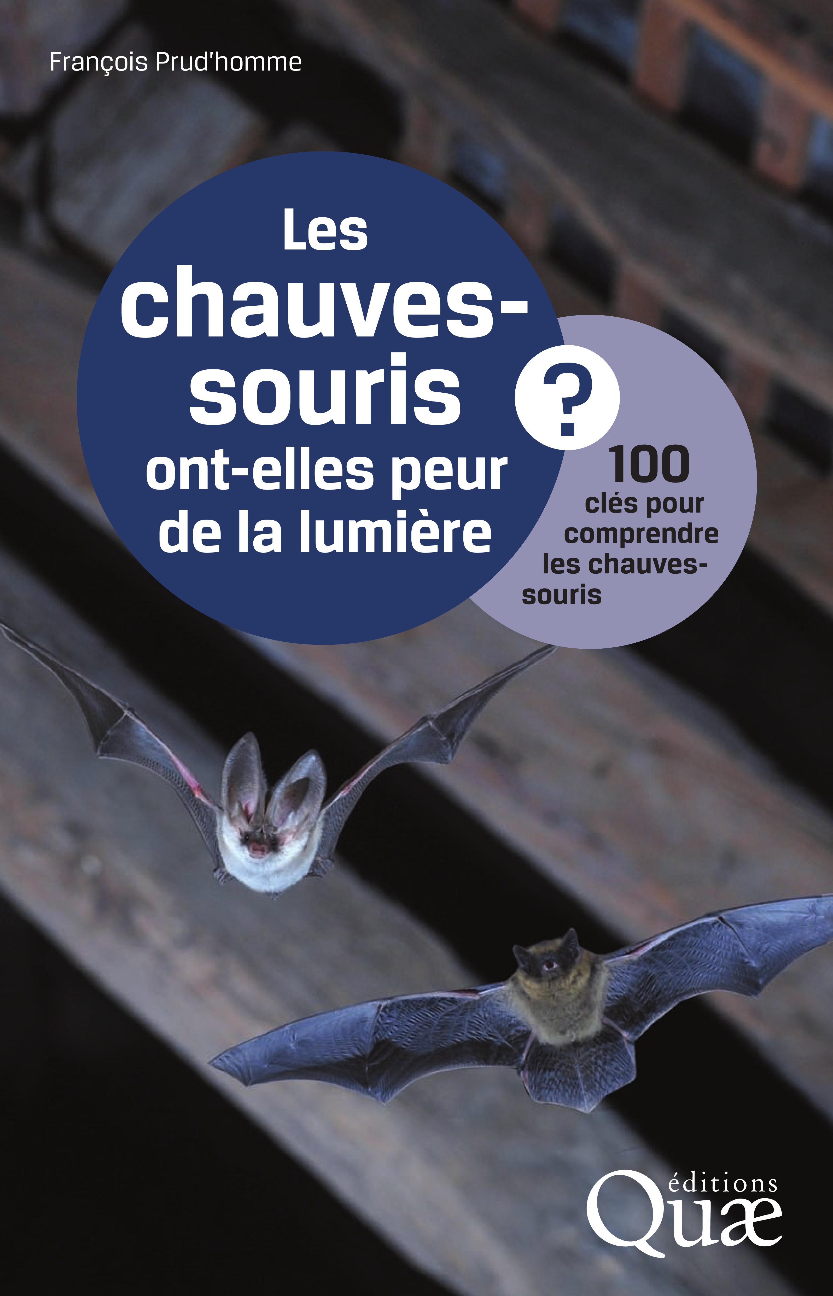 ebook cover of Les chauves-souris ont-elles peur de la lumière ?, by François Prud'homme