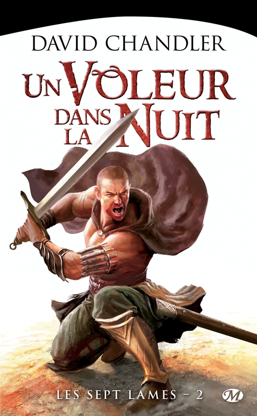 ebook cover of Les Sept Lames, T2 : Un voleur dans la nuit, by David Chandler