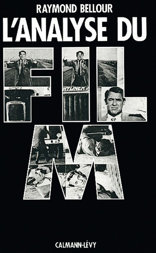 ebook cover of L'Analyse du film, by Raymond Bellour