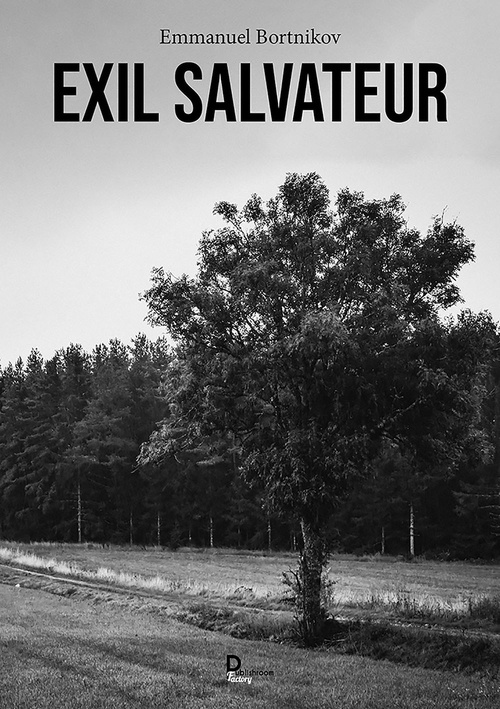 ebook cover of Exil salvateur, by Emmanuel BORTNIKOV