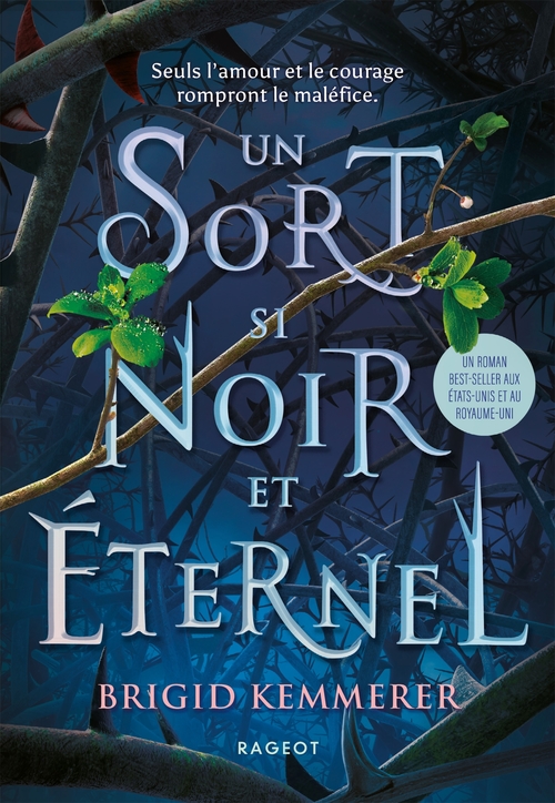 ebook cover of Un sort si noir et éternel, by Brigid Kemmerer
