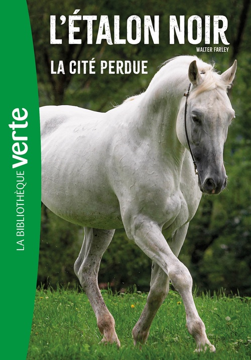 ebook cover of L'Etalon noir (nouvelle édition),  Tome 20 -  La cité perdue, by Steven Farley