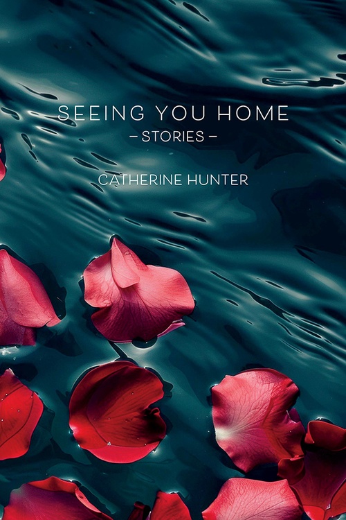 ebook cover of Seeing You Home, by Catherine Hunter