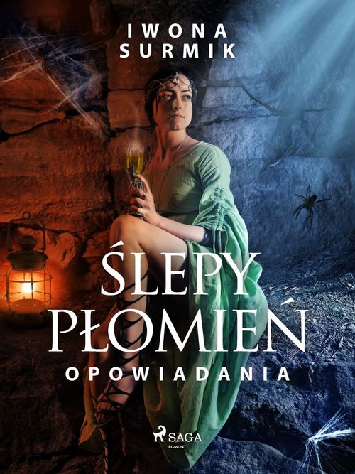 ebook cover of ´Slepy plomie´n - zbiór opowiada´n, by Iwona Surmik
