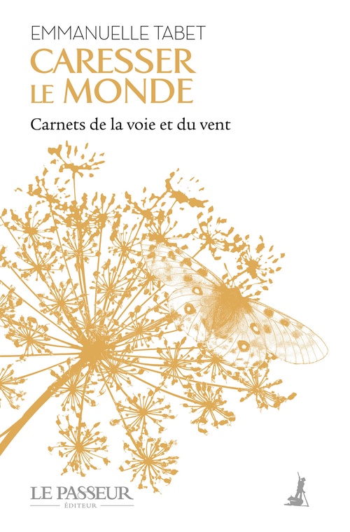 ebook cover of Caresser le monde : Carnets de la voie et du vent, by Emmanuelle Tabet