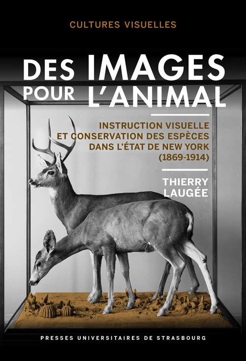 ebook cover of Des images pour l´animal, by Thierry Laugée