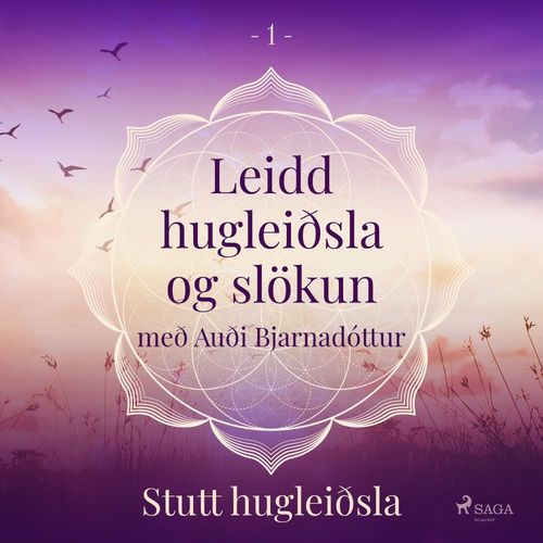 audiobook cover of Leidd hugleiðsla og slökun - Stutt hugleiðsla, by Trine Holt Arnsberg