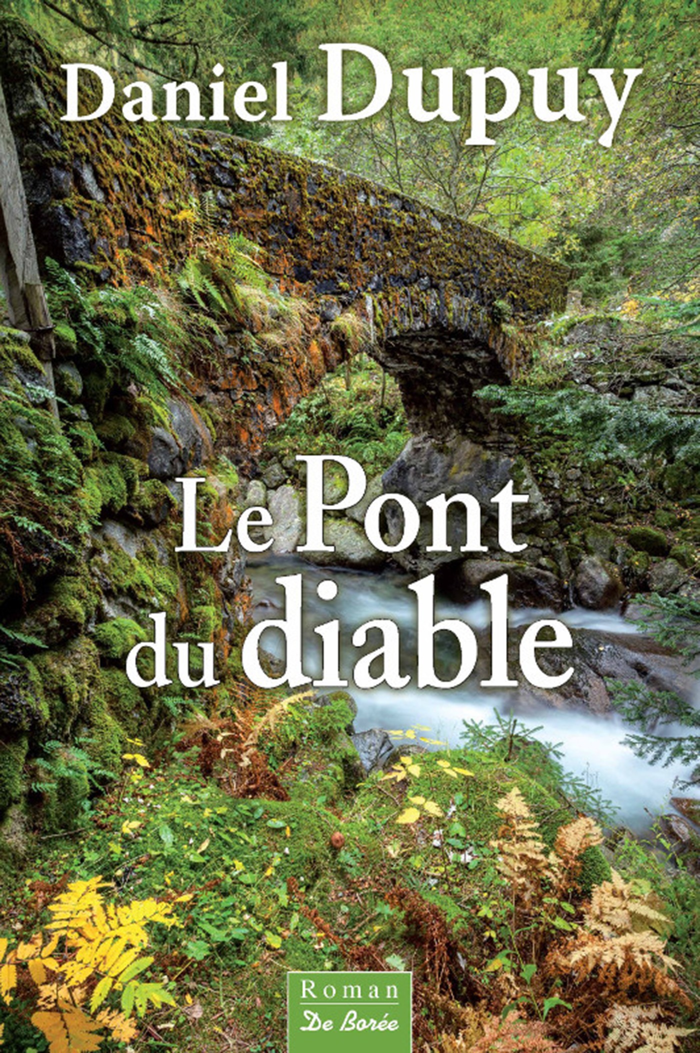 ebook cover of Le Pont du diable, by Daniel Dupuy