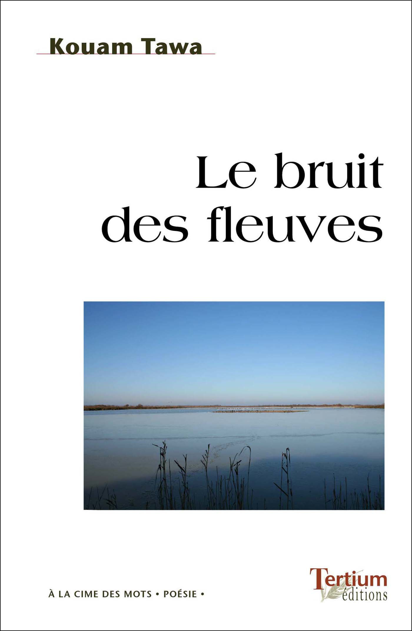 Couverture ebook de Le Bruit des fleuves, de Kouam Tawa