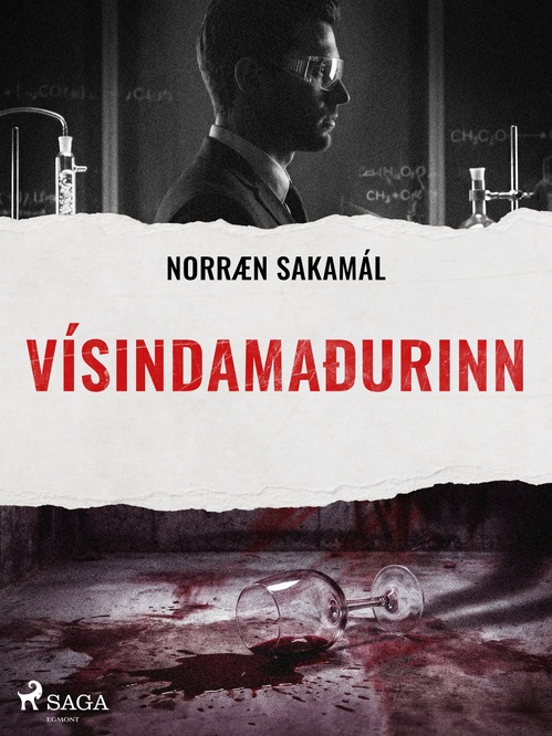 ebook cover of Vísindamaðurinn, by Ýmsir