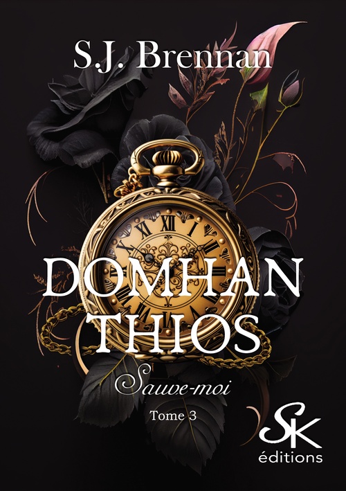 ebook cover of Domhan Thios 3, by S.J. Brennan