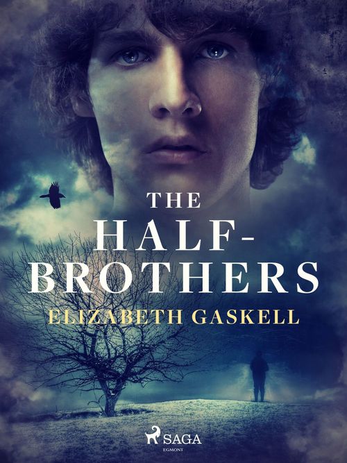 ebook cover of The Half-Brothers, by Elizabeth Gaskell