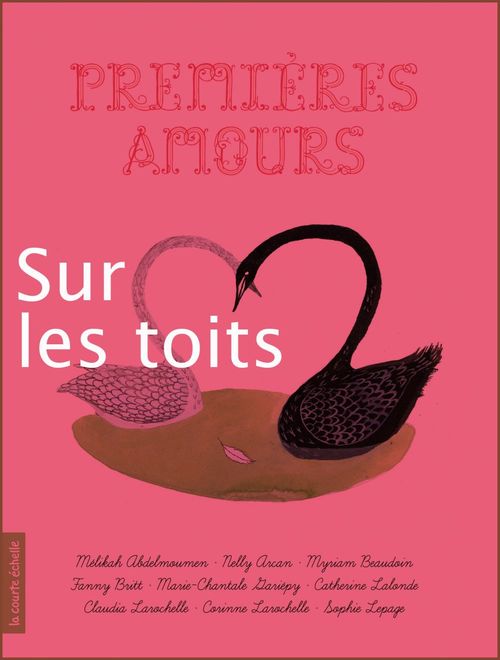 Couverture ebook de Sur les toits, de Corinne Larochelle, Julie Morstad