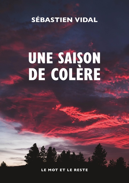 ebook cover of Une saison de colère, by Sébastien VIDAL