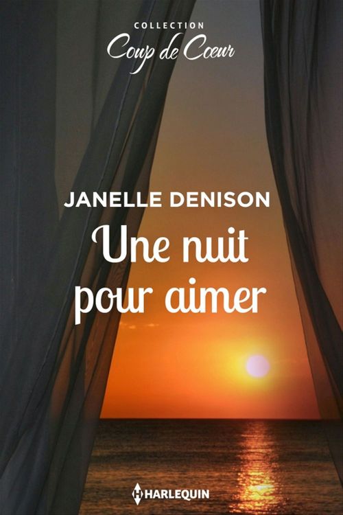 Couverture ebook de Une nuit pour aimer, de Janelle Denison