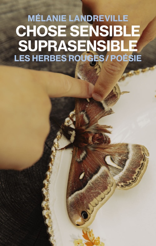 Couverture ebook de Chose sensible suprasensible, de Mélanie Landreville