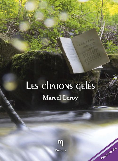 Couverture ebook de Les chatons gelés, de Marcel Leroy