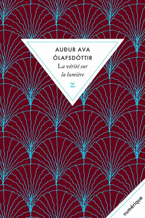 ebook cover of La vérité sur la lumière, by Audur Ava Olafsdóttir