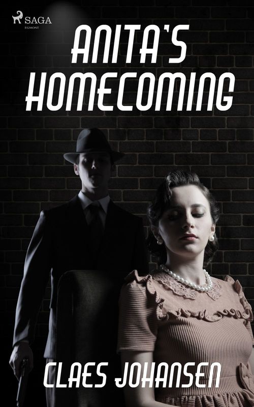 ebook cover of Anita´s Homecoming, by Claes Johansen