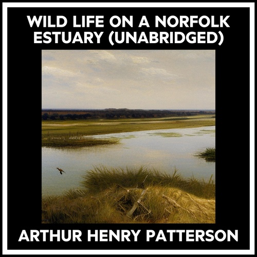 Couverture audiobook de Wild Life On A Norfolk Estuary (Unabridged), de Arthur Henry Patterson
