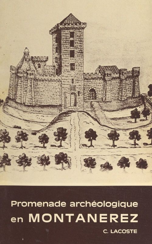 ebook cover of Promenade archéologique en Montanérez, by Constant Lacoste