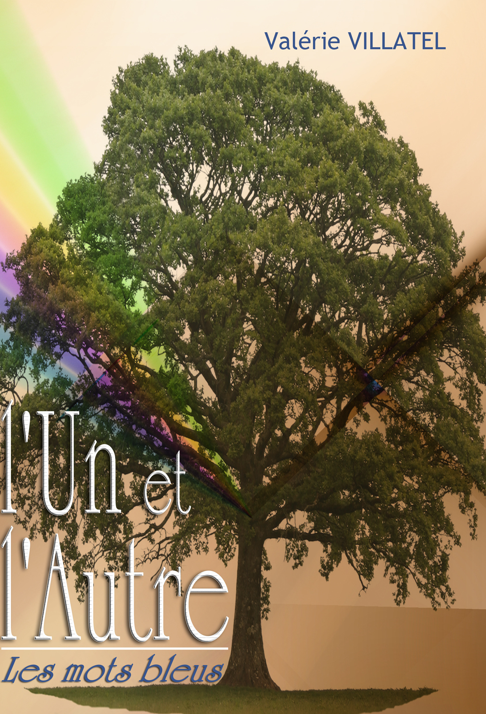 Couverture ebook de L'un et l'autre, de Valérie Villarel