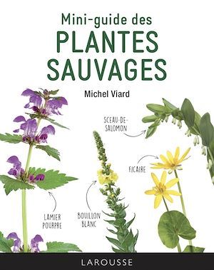 Couverture ebook de Mini-guide des plantes sauvages, de Michel Viard