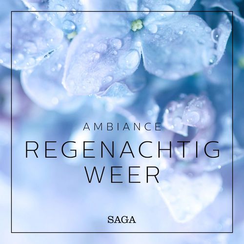 Couverture audiobook de Ambiance - Regenachtig weer, de Rasmus Broe