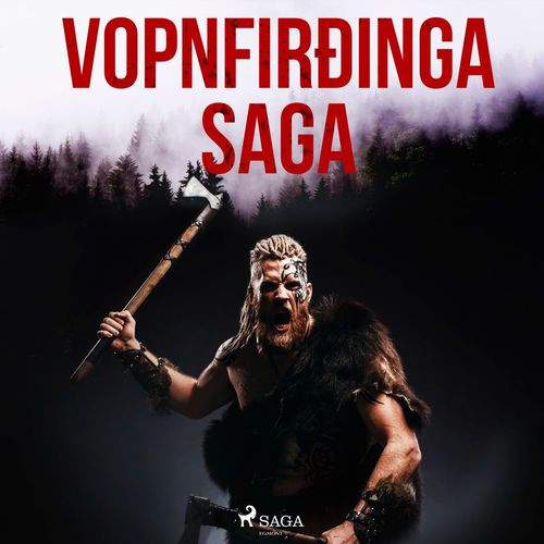 audiobook cover of Vopnfirðinga saga , by -  OþEkktur