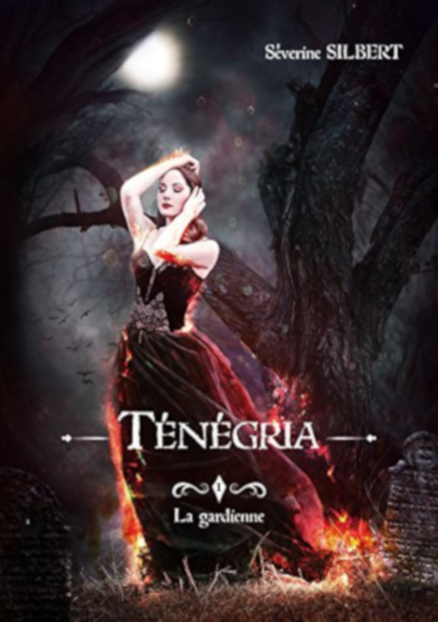 Couverture ebook de Ténégria tome 1: la gardienne, de Séverine Silbert