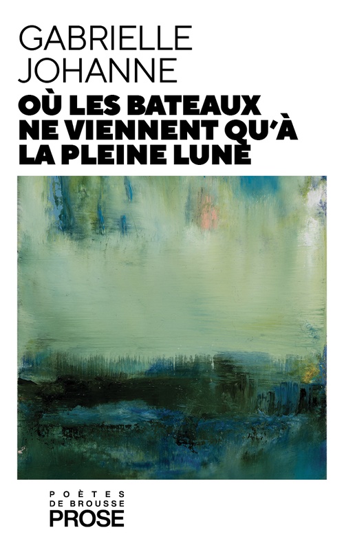 ebook cover of Où les bateaux  ne viennent  qu´à la pleine lune, by Gabrielle Johanne
