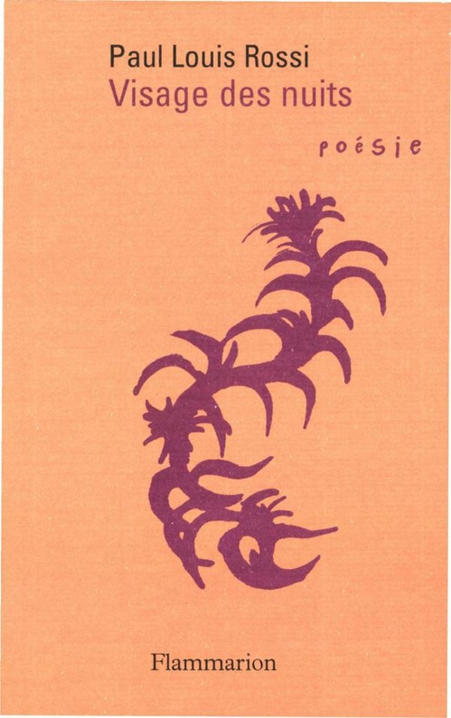 ebook cover of Visage des nuits, by Paul-Louis Rossi