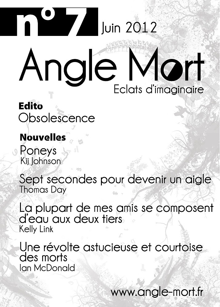 ebook cover of Angle Mort numéro 7, by Revue Angle Mort