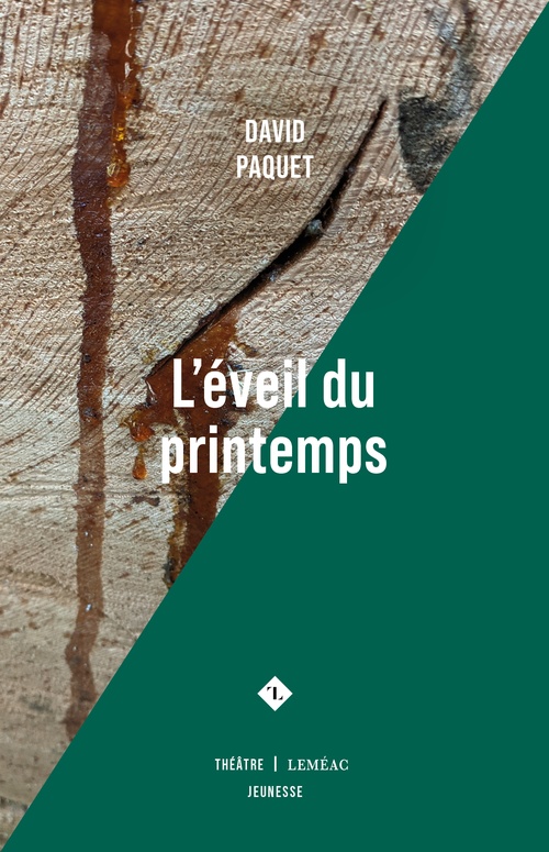 ebook cover of L'éveil du printemps, by David Paquet