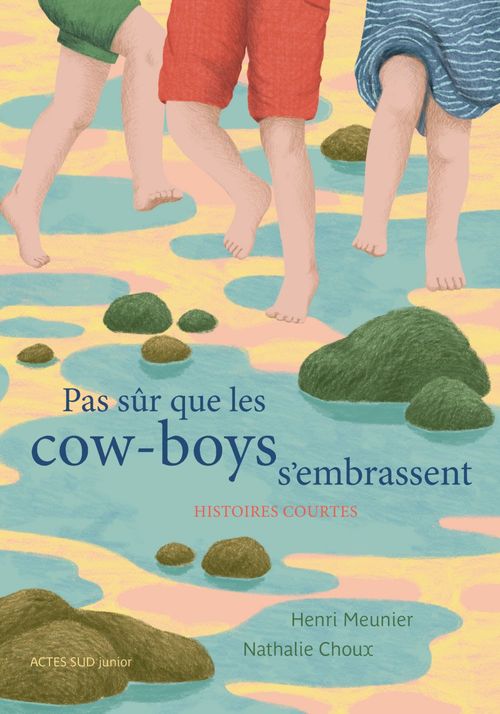 ebook cover of Pas sûr que les cowboys s'embrassent, by Nathalie Choux, Henri Meunier